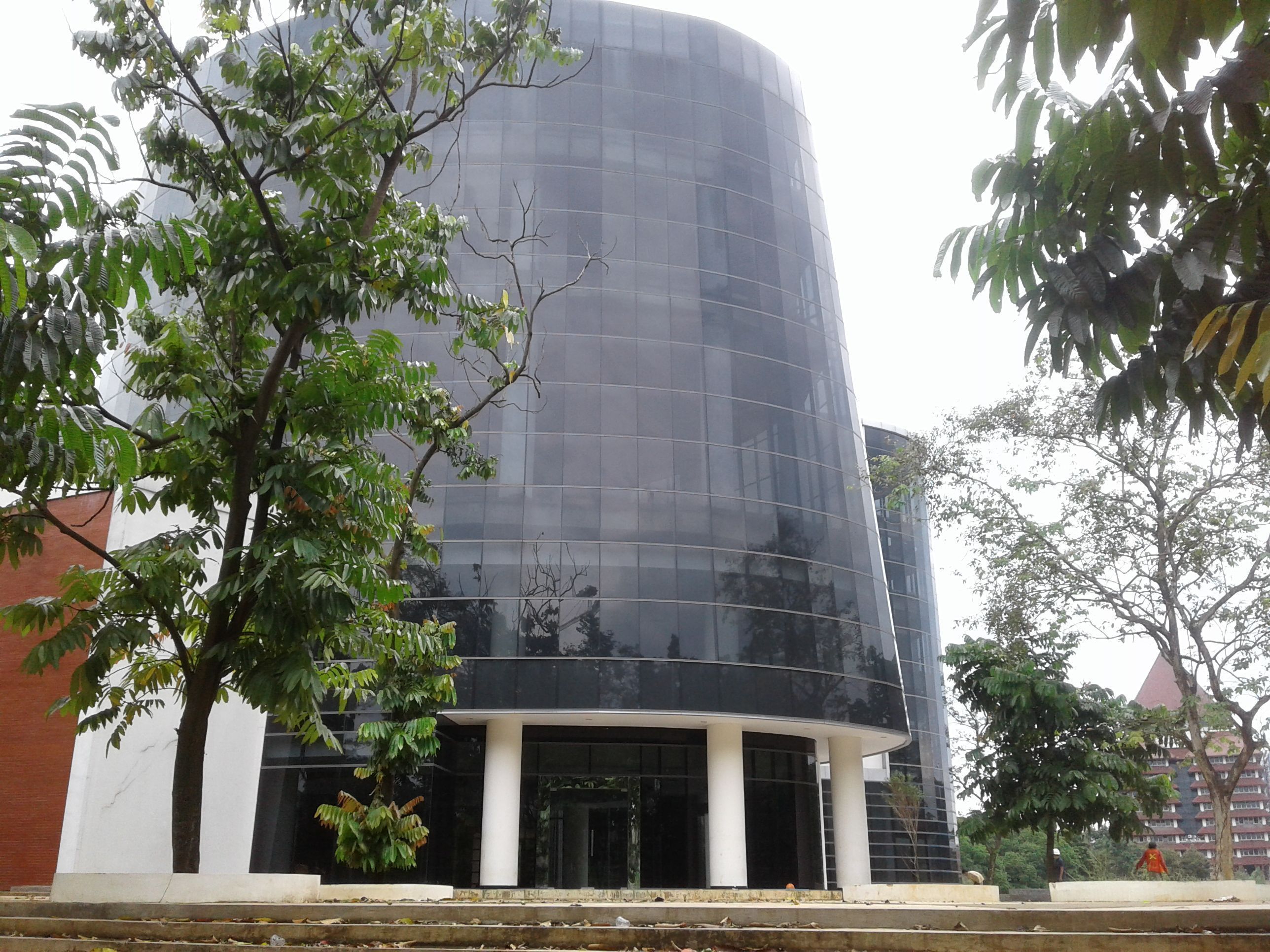 MDN