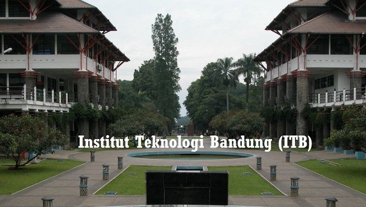 MDN