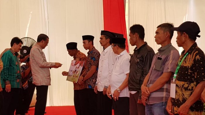 MDN