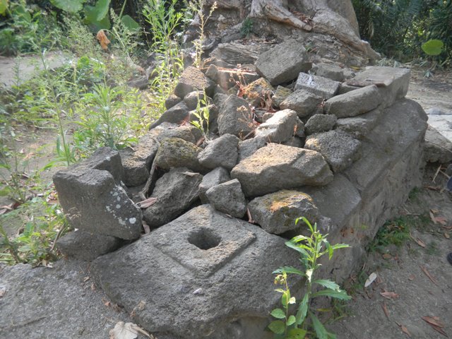 MDN