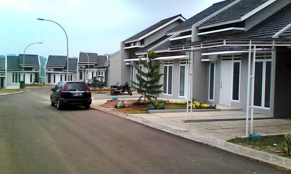 MDN