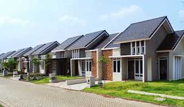 MDN