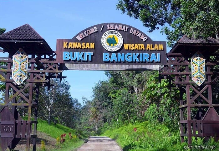 MDN