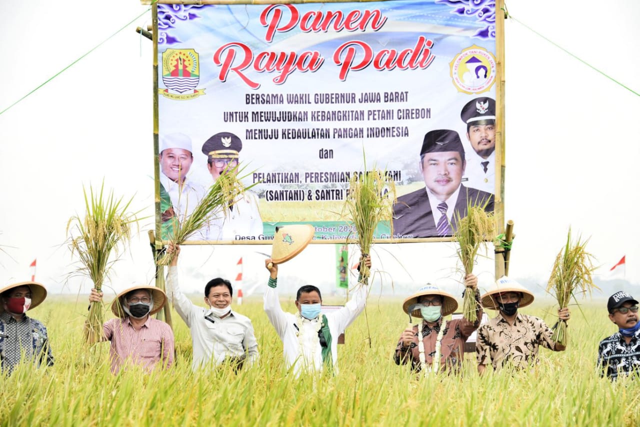 MDN