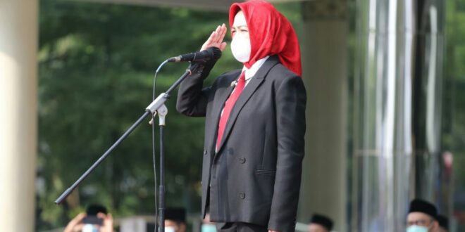 MDN