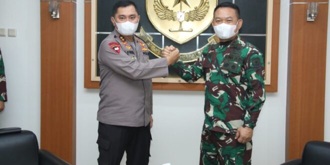 MDN