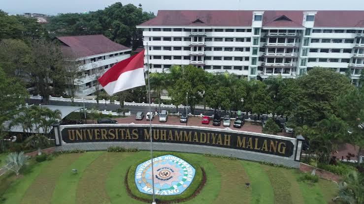 MDN