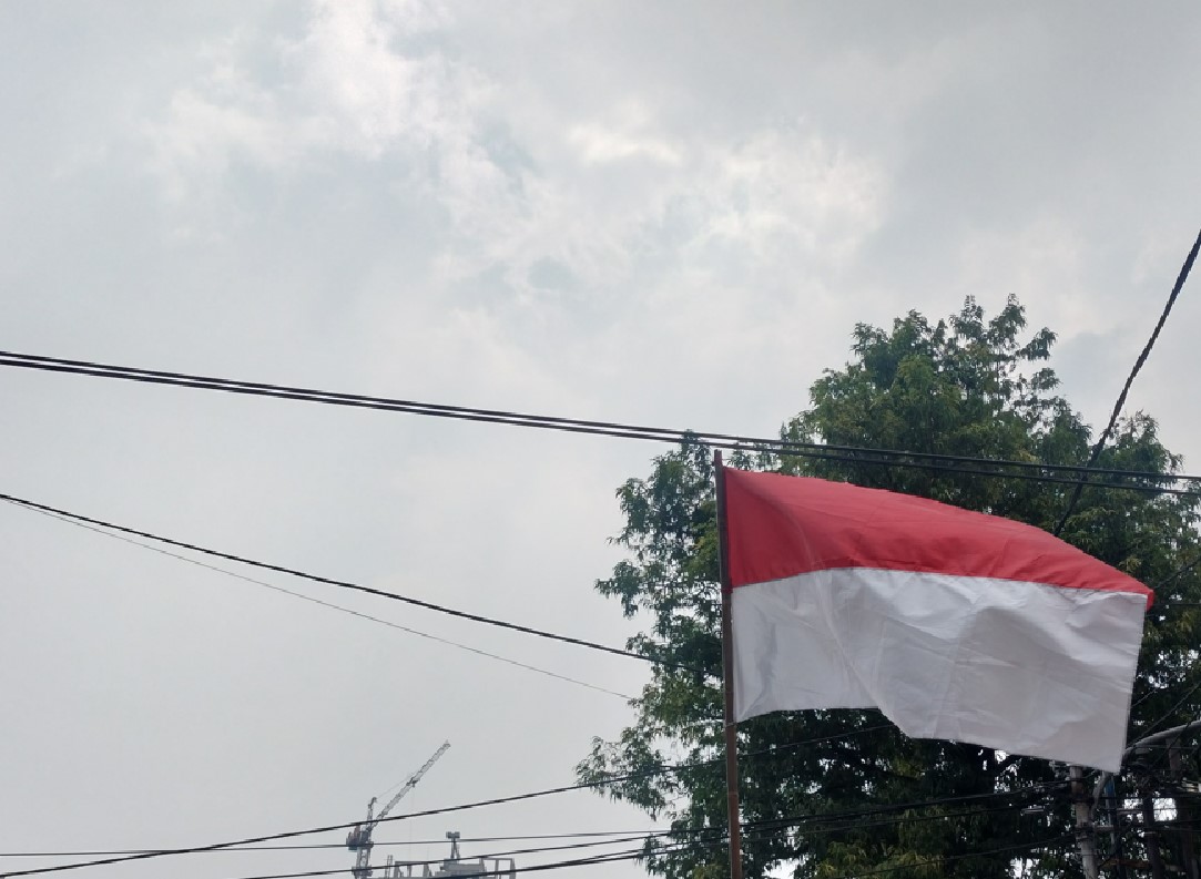 MDN