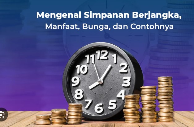 MDN